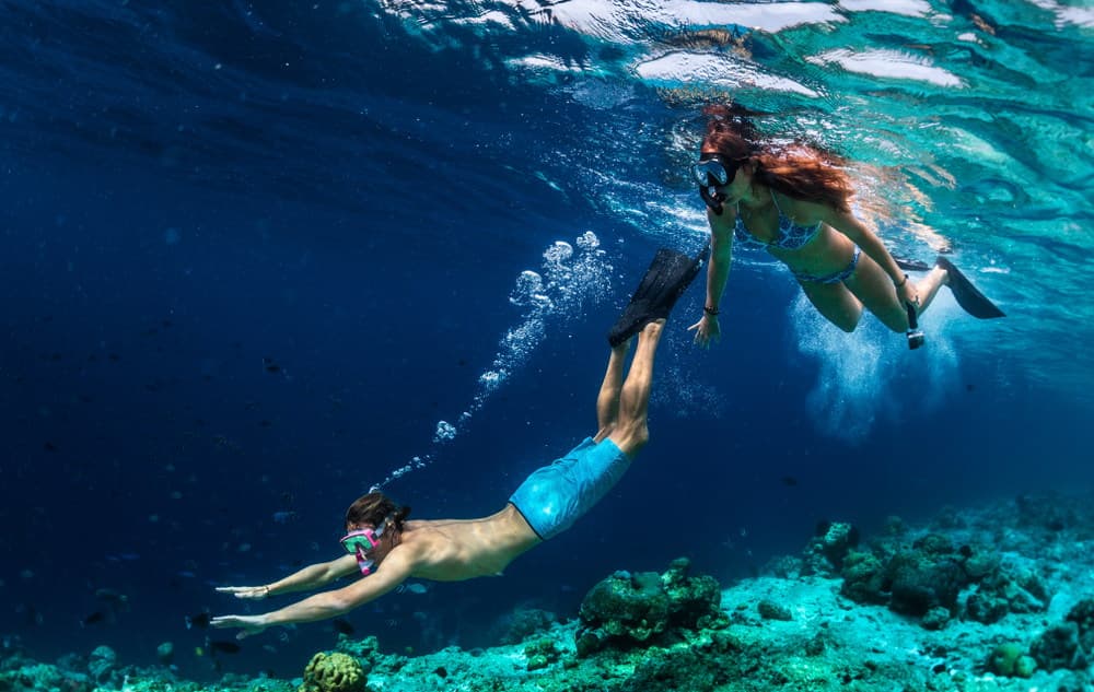 Diving & Snorkeling